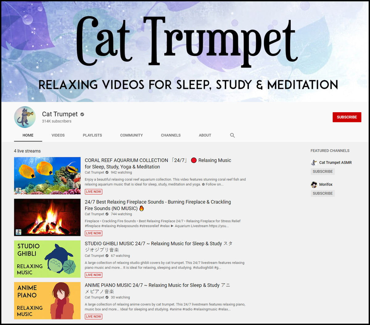 Cat Trumpet YouTube Channel Screen Shot